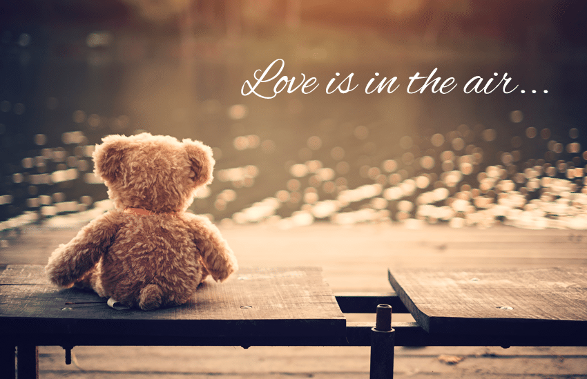 A tan teddy bear sits on a bench by the river with Loving is in the air... in white font.