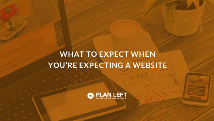 What to expect when you're expecting a website