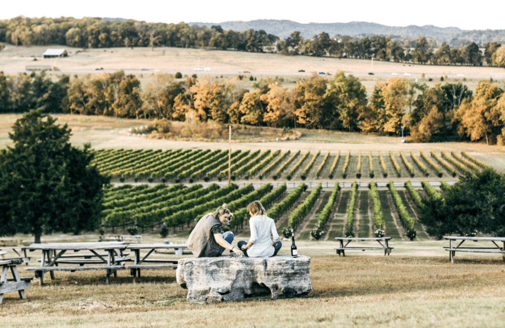 Two people sit on a rock, looking over a vineyard as they drink wine.