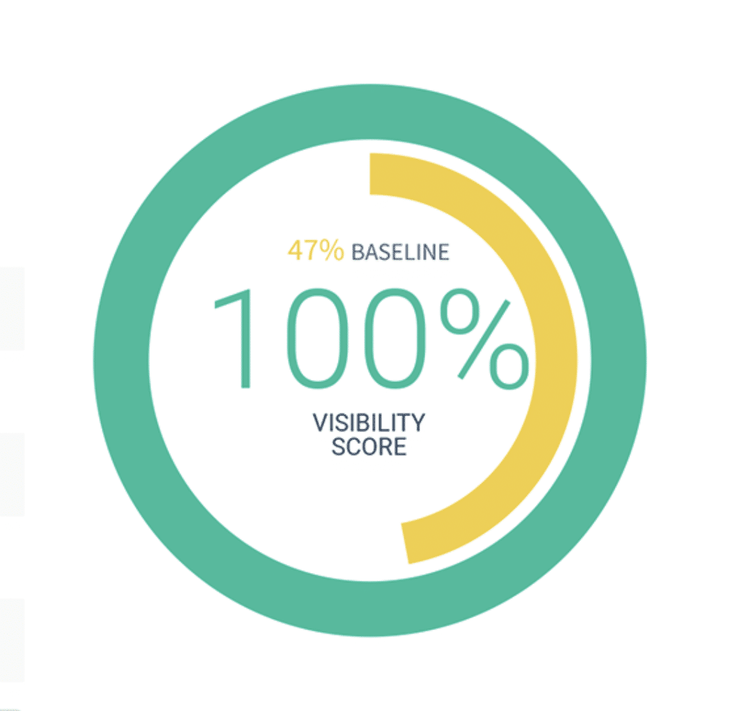 Revival Visibility Boost score with a yellow baseline of forty-seven percent and green visibility score of 100%.