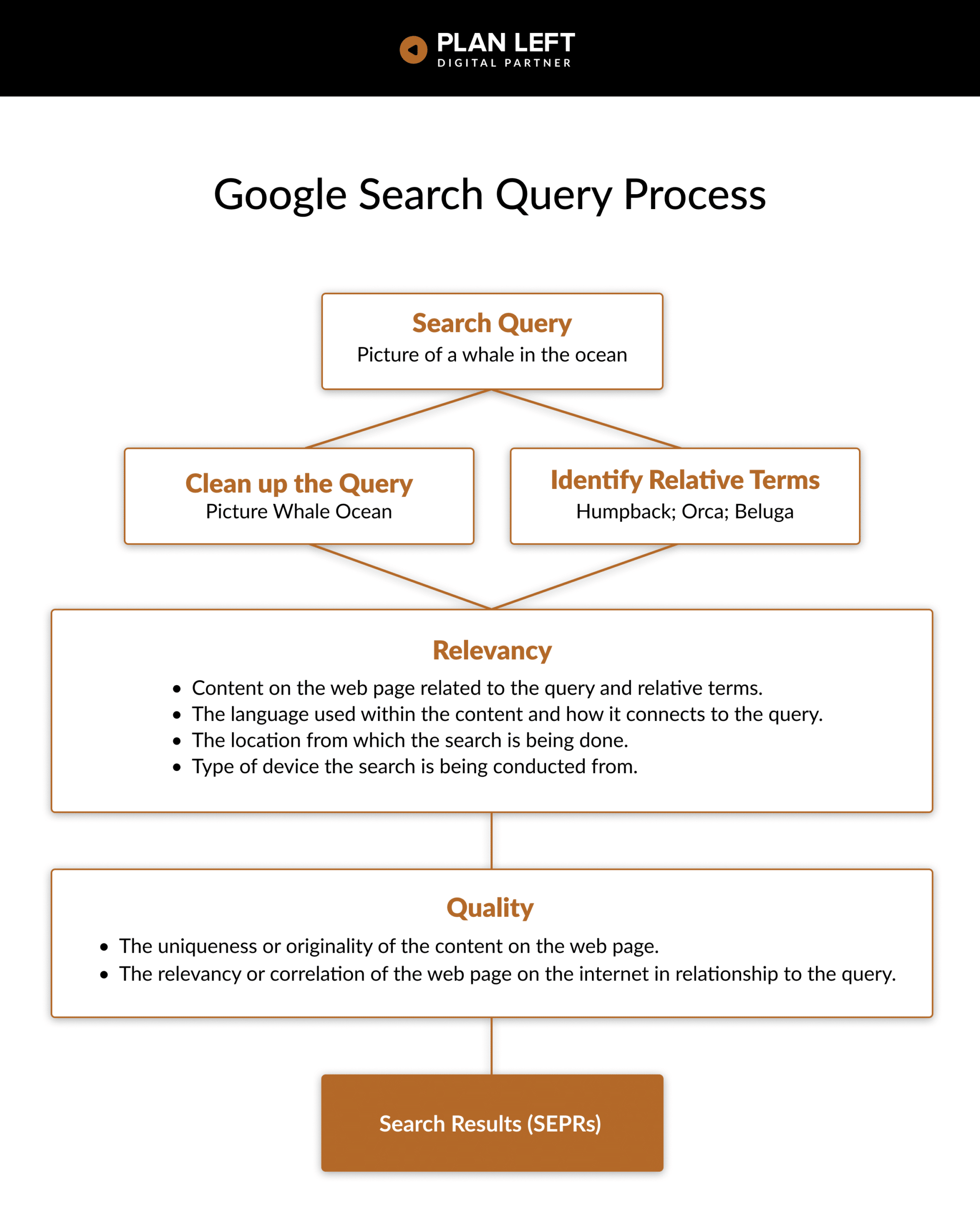 Google Search Query Process flow chart breaking down the process of how Google takes the query to Search Results.
