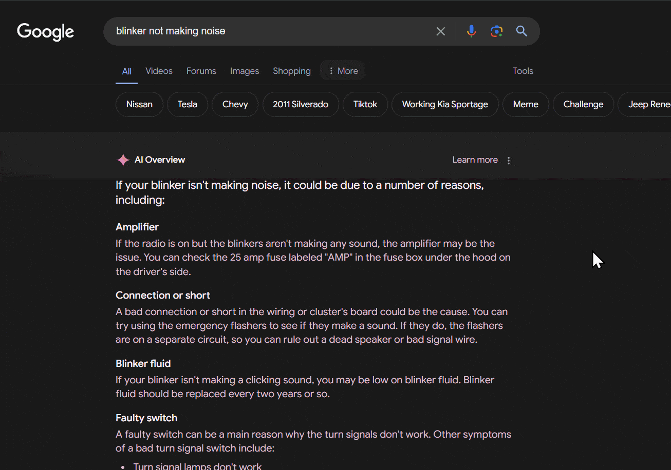 AI Overview incorrectly displaying blinker fluid as a possible correction for blinker not making a noise. 
